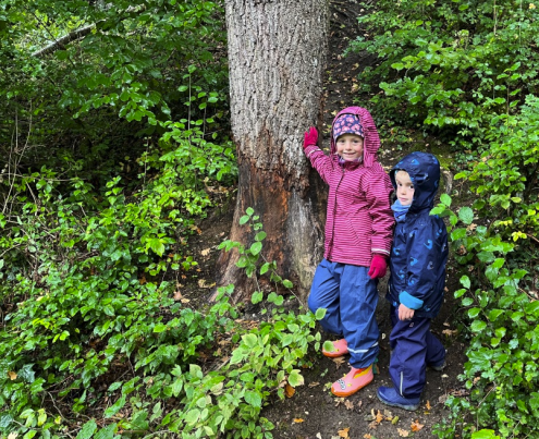 Bildschirmfoto 2022-09-27 um 06.37.48