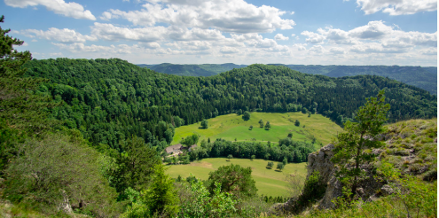 Bildschirmfoto 2022-10-04 um 04.56.18