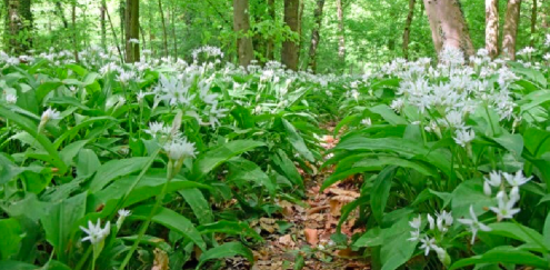 Bildschirmfoto 2023-03-14 um 17.42.20