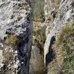 IMG_3752
