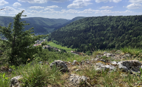 Bildschirmfoto 2024-03-08 um 22.49.03