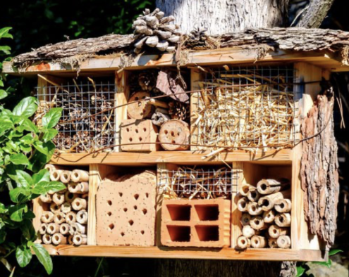 Bildschirmfoto 2024-09-20 um 11.24.00