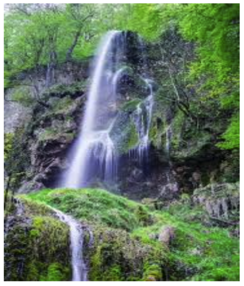 Bildschirmfoto 2025-03-17 um 07.55.47