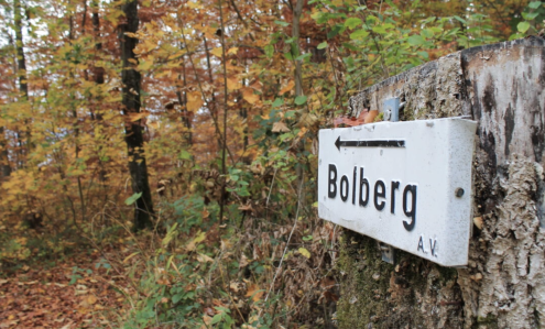 Bolberg